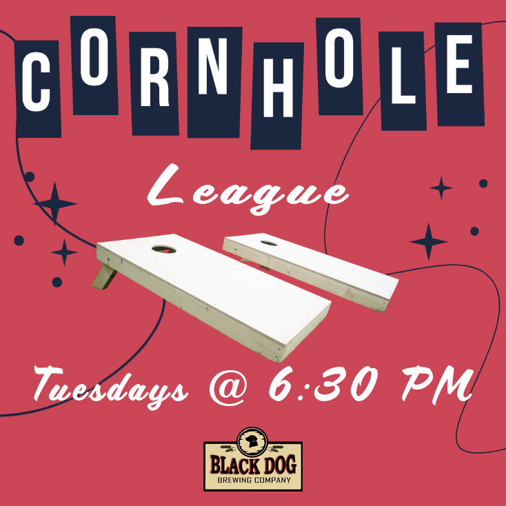 American Cornhole League - IT ALL COMES DOWN TO THIS 